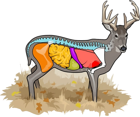 Identifique quem são os leads realmente qualificados