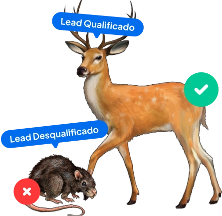 Identifique quem são os leads realmente qualificados